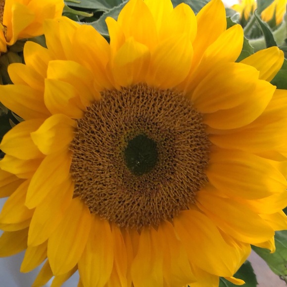 Meet your Posher, Gwen! - Picture 4 of 8